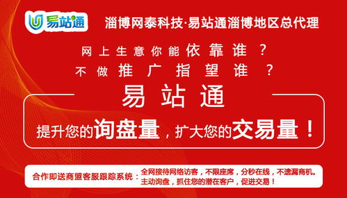 淄博网泰科技与滨州网络推广公司 技术推广的本地化服务解析